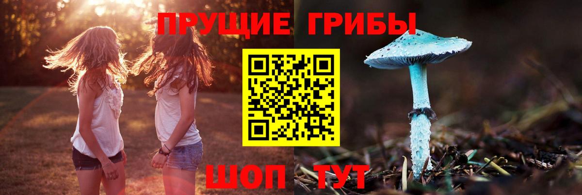Галлюциногенные грибы Psilocybine cubensis  где купить   Галлюциногенные грибы мицелий  Кызыл  Вход с VPN 